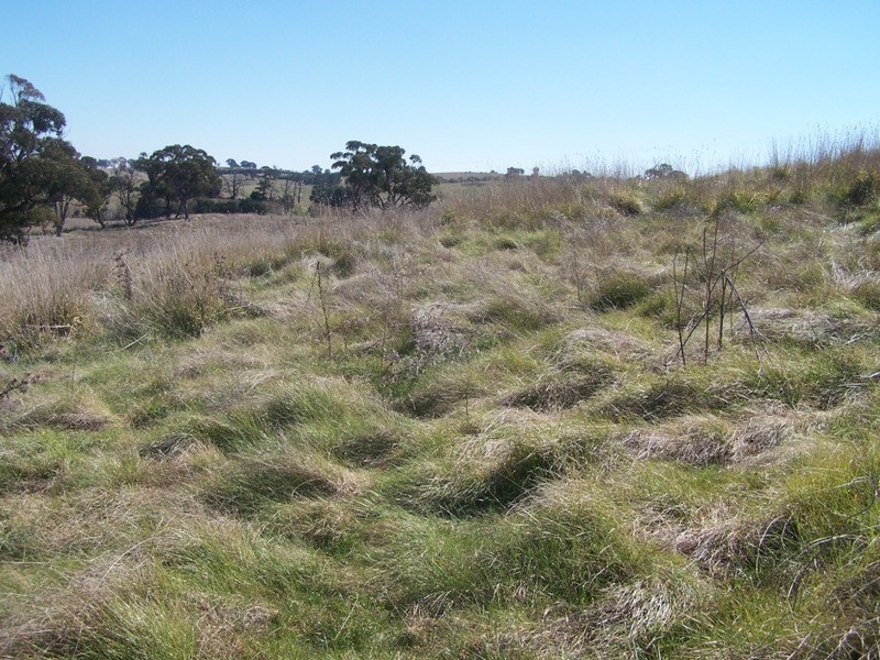 Lot 2 Lost River Road, Crookwell NSW 2583