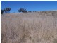 Lot 2 Lost River Road, Crookwell NSW 2583