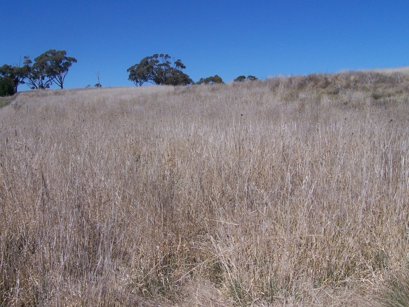Lot 2 Lost River Road, Crookwell NSW 2583