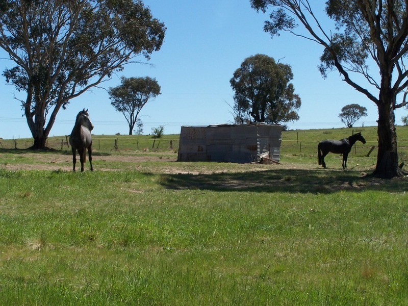 209 Boxers Creek Road, Goulburn NSW 2580