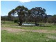 209 Boxers Creek Road, Goulburn NSW 2580