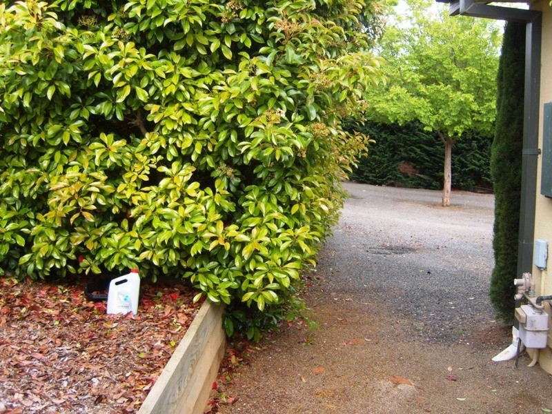 37 Fitzroy  Street, Goulburn NSW 2580