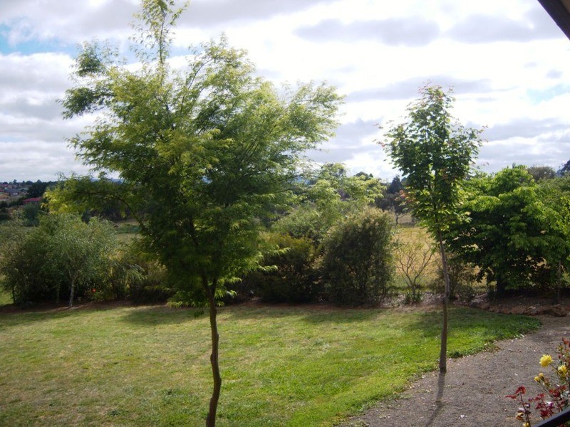 37 Fitzroy  Street, Goulburn NSW 2580