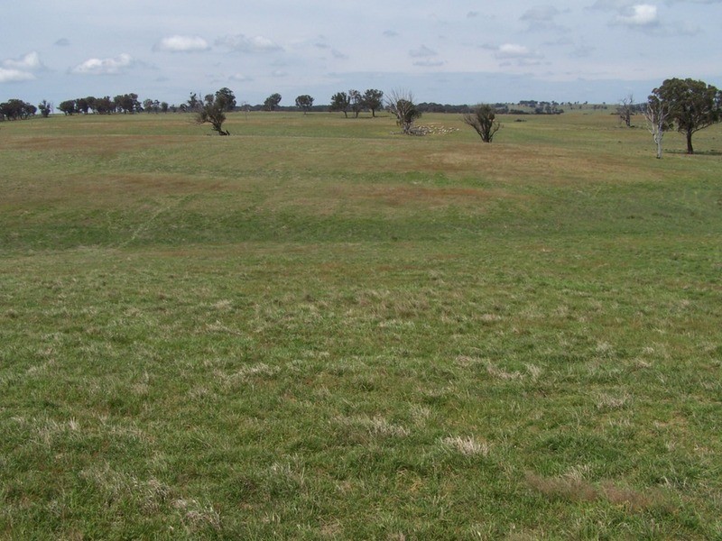 “Twin Creeks” Turkey Hill Road, Fullerton NSW 2583