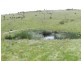 1269 Mares Forest  Road, Wombeyan Caves NSW 2580