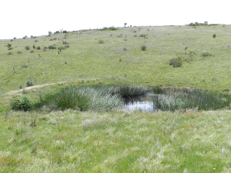 1269 Mares Forest  Road, Wombeyan Caves NSW 2580