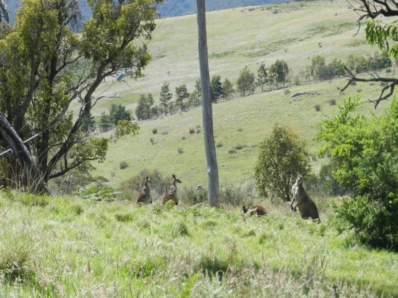 1269 Mares Forest  Road, Wombeyan Caves NSW 2580