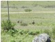 1269 Mares Forest  Road, Wombeyan Caves NSW 2580