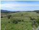 1269 Mares Forest  Road, Wombeyan Caves NSW 2580