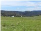 1269 Mares Forest  Road, Wombeyan Caves NSW 2580