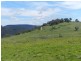 1269 Mares Forest  Road, Wombeyan Caves NSW 2580