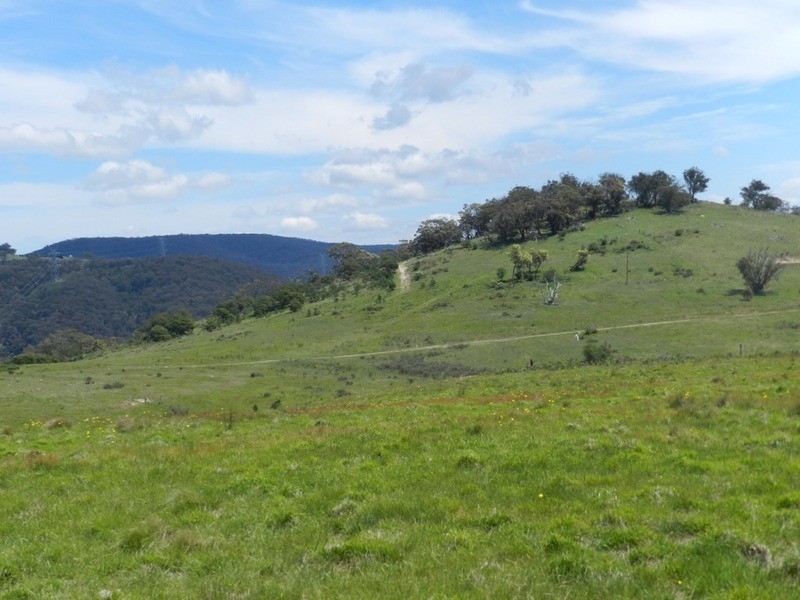1269 Mares Forest  Road, Wombeyan Caves NSW 2580