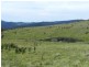 1269 Mares Forest  Road, Wombeyan Caves NSW 2580