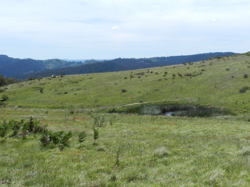 1269 Mares Forest  Road, Wombeyan Caves NSW 2580