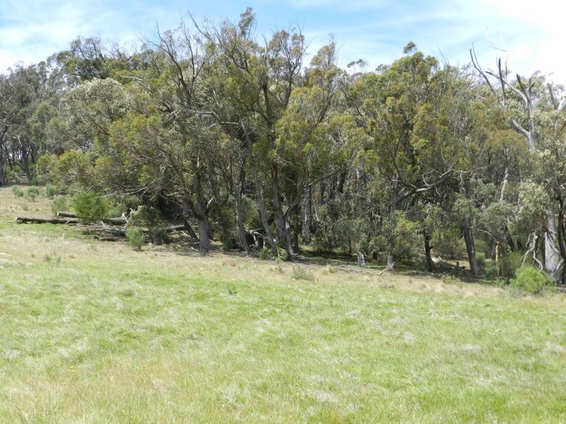1269 Mares Forest  Road, Wombeyan Caves NSW 2580