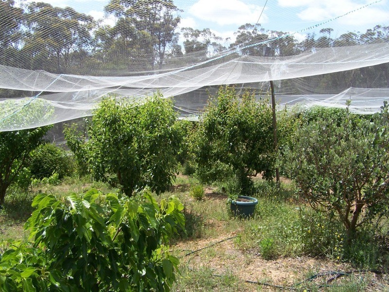 206  Narelle Lane, Towrang NSW 2580