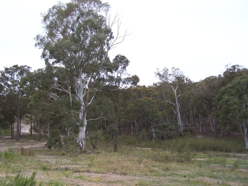 126 Rampion Hills Road, Marulan NSW 2579