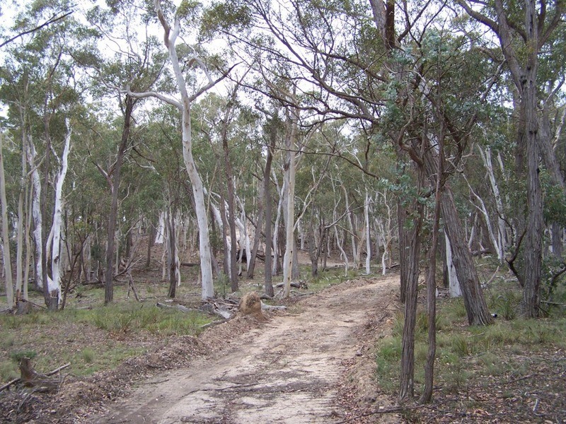 126 Rampion Hills Road, Marulan NSW 2579