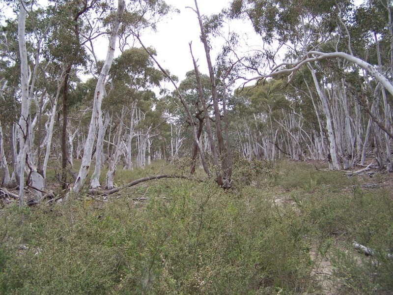 126 Rampion Hills Road, Marulan NSW 2579