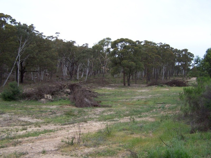 126 Rampion Hills Road, Marulan NSW 2579