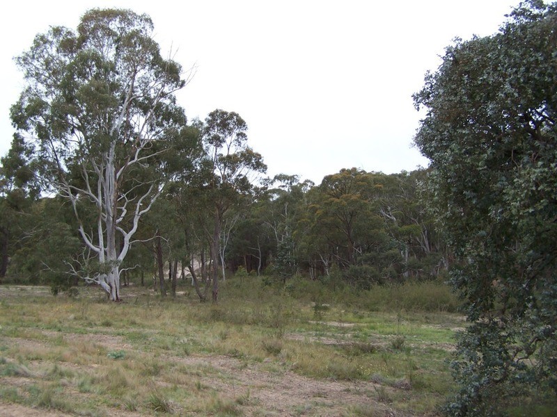 126 Rampion Hills Road, Marulan NSW 2579