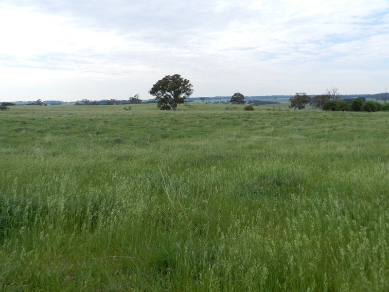 4  Reservoir Road, Crookwell NSW 2583