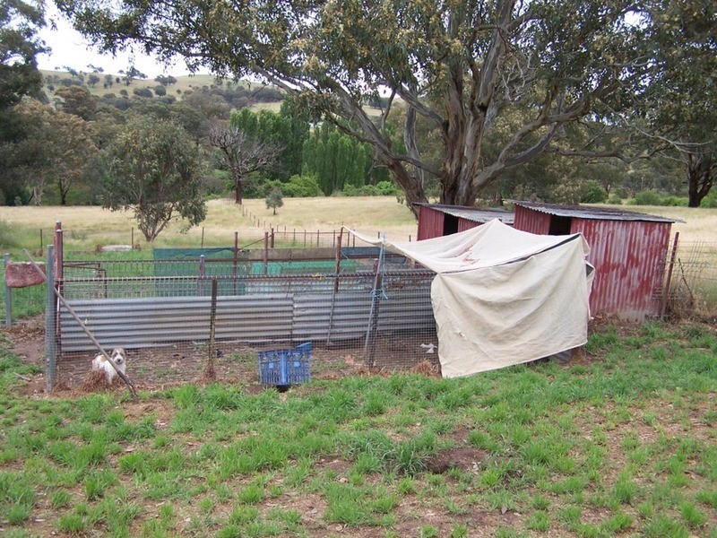191 Yewrangara Street, Bigga NSW 2583