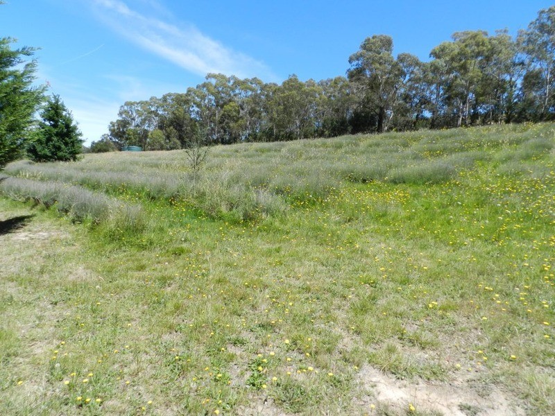 “Rose Farm” 2042  Taralga  Road, Tarlo NSW 2580