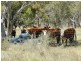 “Rose Farm” 2042  Taralga  Road, Tarlo NSW 2580