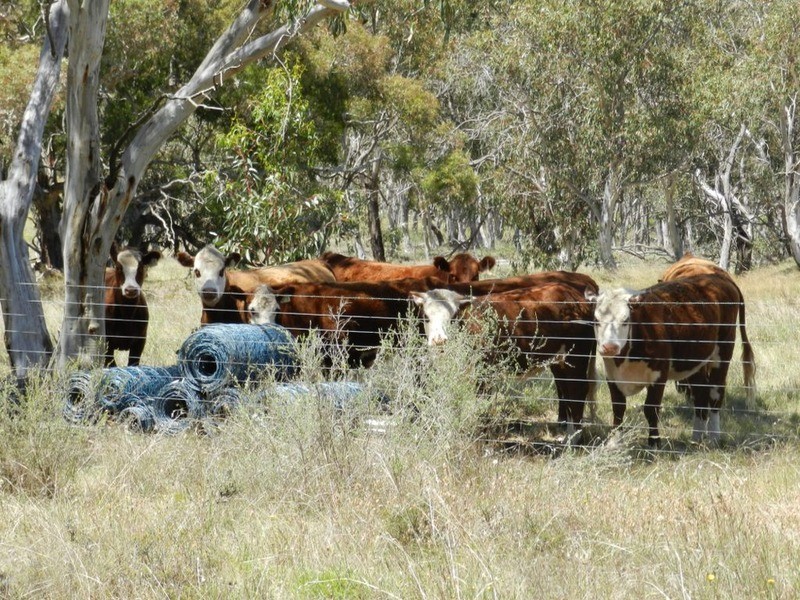 “Rose Farm” 2042  Taralga  Road, Tarlo NSW 2580