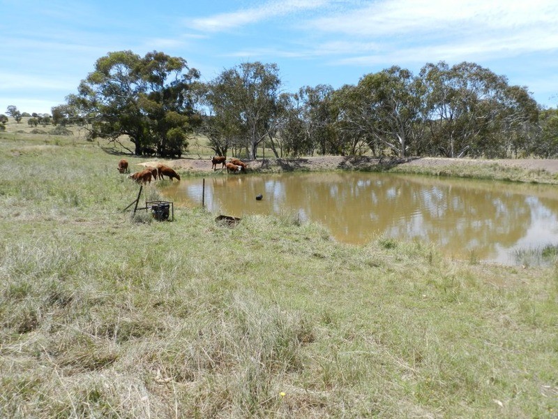 “Rose Farm” 2042  Taralga  Road, Tarlo NSW 2580
