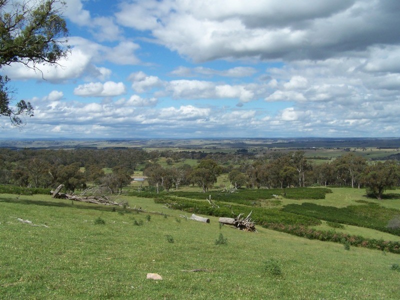 Lot 1 (50) Sappling Creek  Road, Laggan NSW 2583
