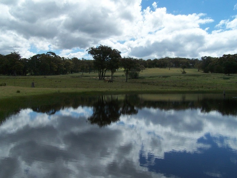 Lot 1 (50) Sappling Creek  Road, Laggan NSW 2583