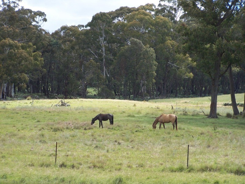 Lot 1 (50) Sappling Creek  Road, Laggan NSW 2583