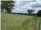 Lot 1 (50) Sappling Creek  Road, Laggan NSW 2583
