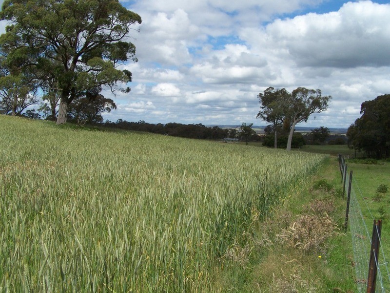 Lot 1 (50) Sappling Creek  Road, Laggan NSW 2583