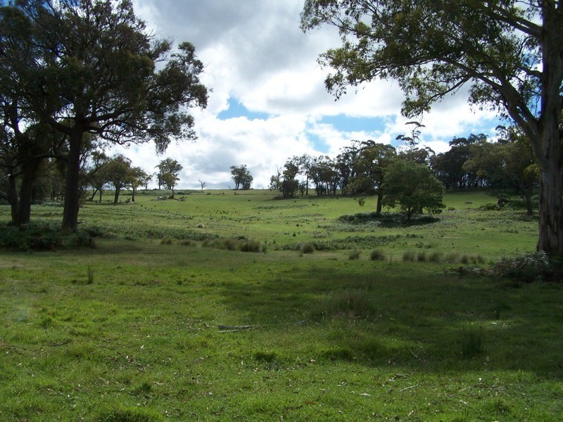 Lot 1 (50) Sappling Creek  Road, Laggan NSW 2583