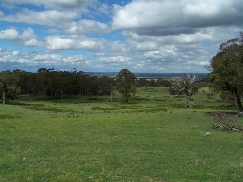 Lot 1 (50) Sappling Creek  Road, Laggan NSW 2583