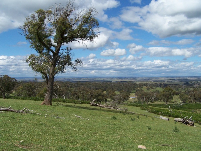 Lot 1 (50) Sappling Creek  Road, Laggan NSW 2583