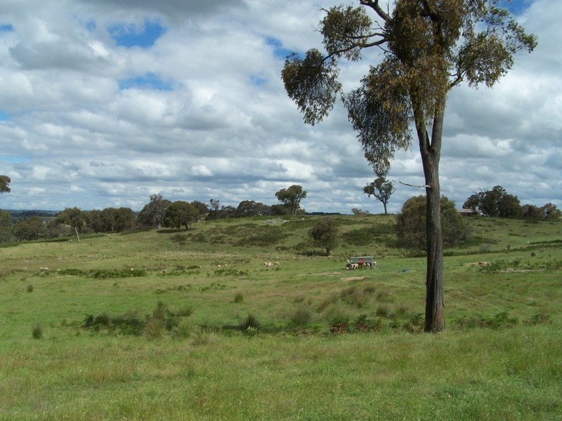 Lot 1 (50) Sappling Creek  Road, Laggan NSW 2583