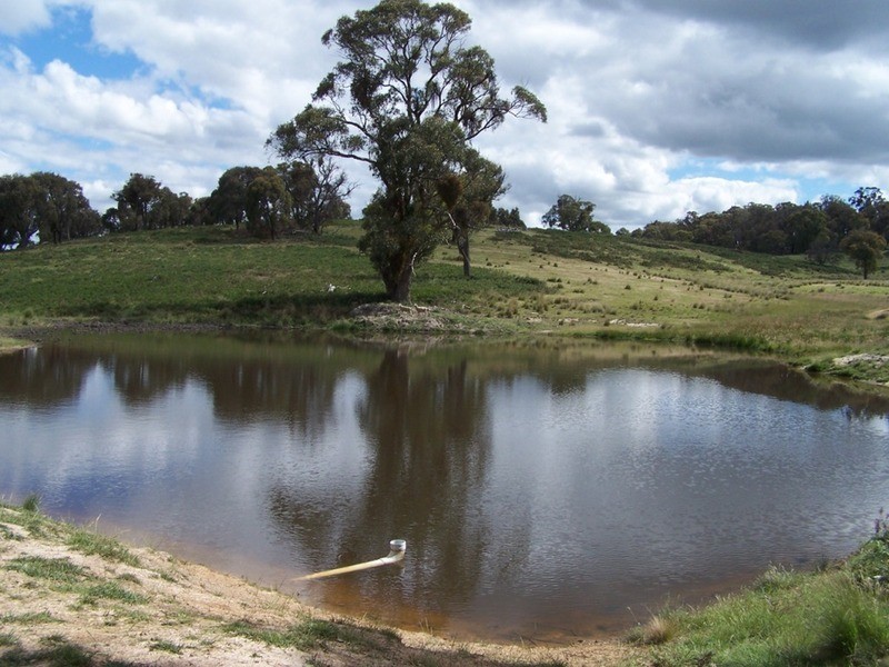 Lot 1 (50) Sappling Creek  Road, Laggan NSW 2583