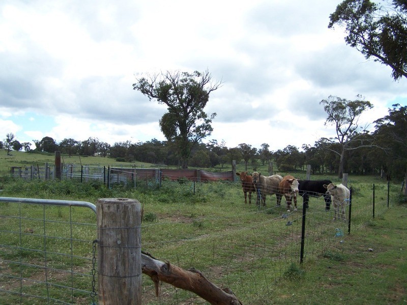 Lot 1 (50) Sappling Creek  Road, Laggan NSW 2583