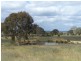 727 Currawang  Road, Goulburn NSW 2580
