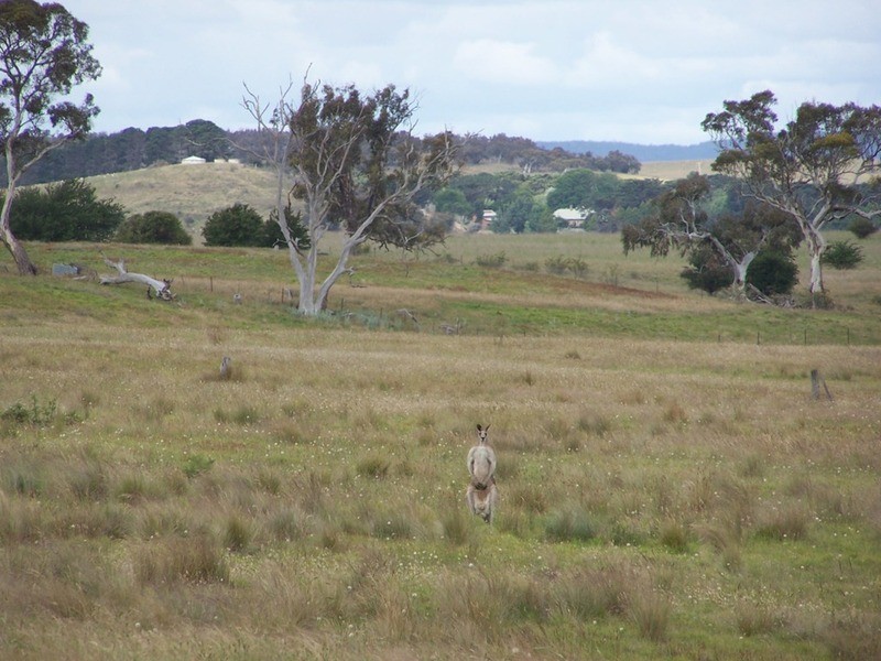 727 Currawang  Road, Goulburn NSW 2580