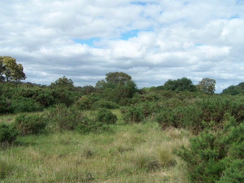 727 Currawang  Road, Goulburn NSW 2580