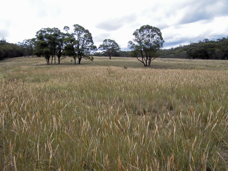 154 Fernleigh  Close, Windellama NSW 2580