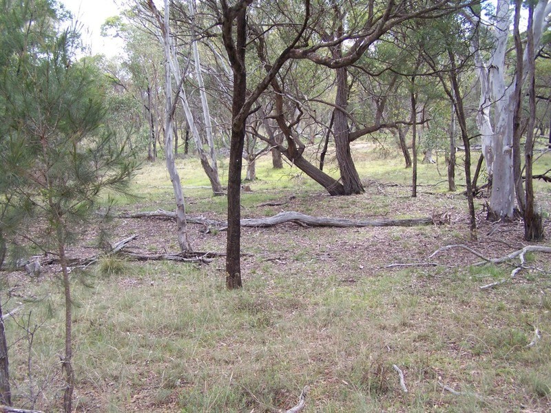 154 Fernleigh  Close, Windellama NSW 2580