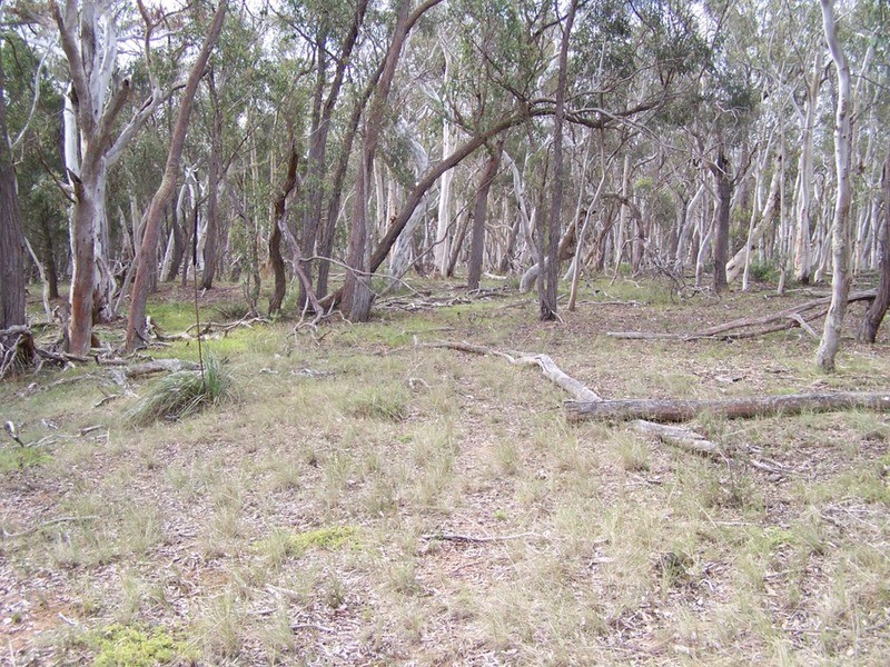 154 Fernleigh  Close, Windellama NSW 2580