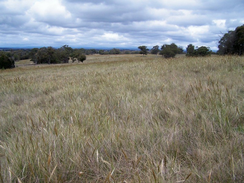 154 Fernleigh  Close, Windellama NSW 2580