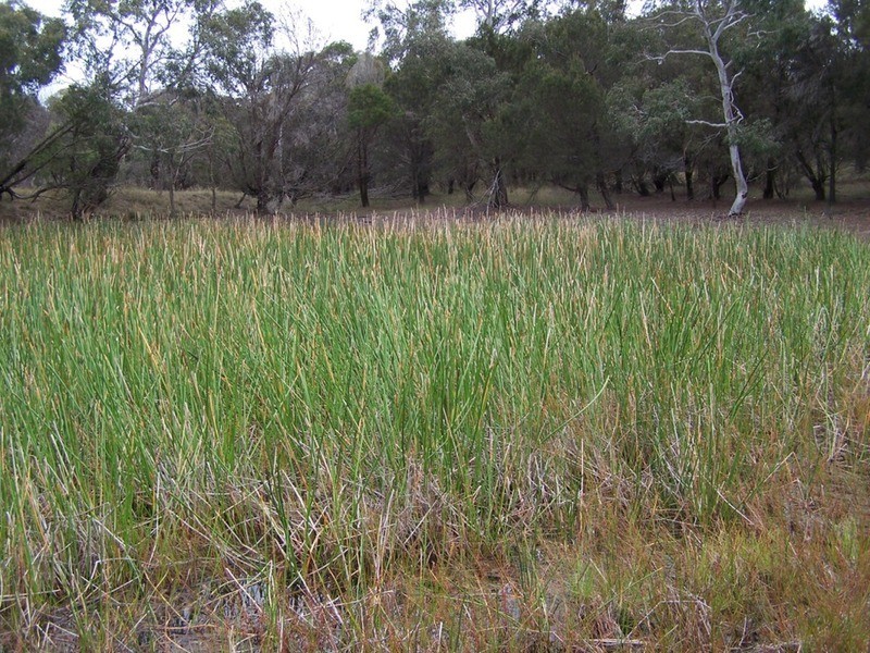 154 Fernleigh  Close, Windellama NSW 2580